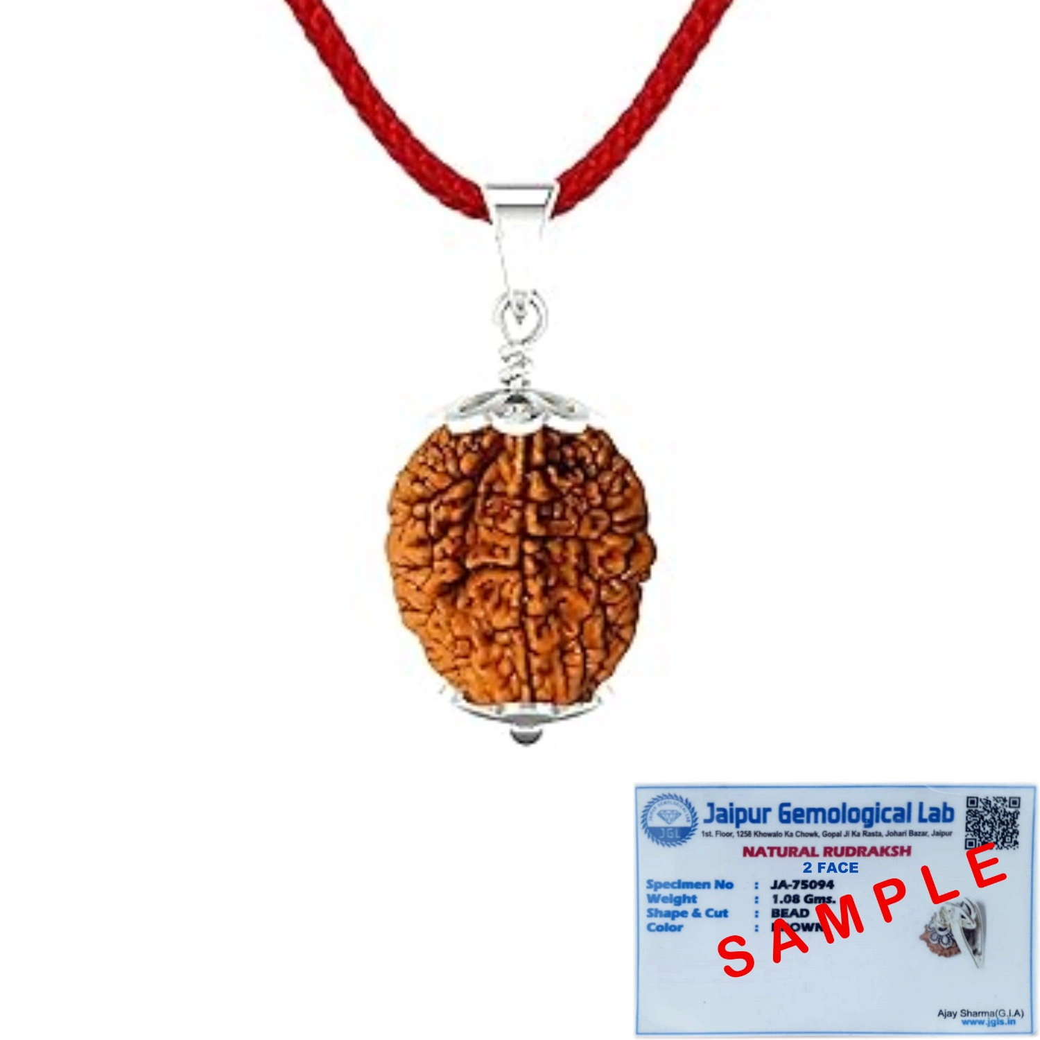 2 Mukhi Rudraksh Pendant | 2 Faced Rudraksh Pendant