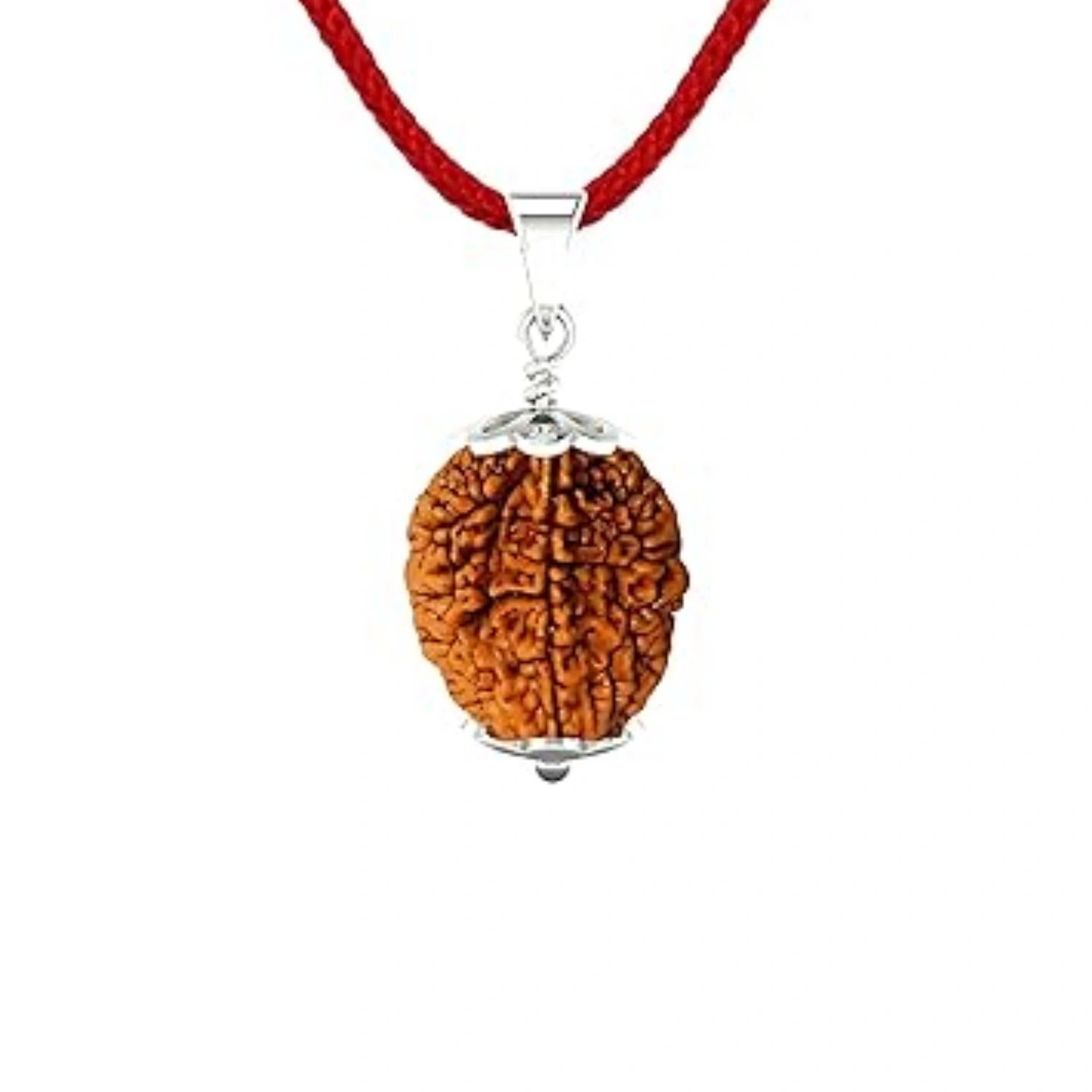 2 Mukhi Rudraksh Pendant | 2 Faced Rudraksh Pendant